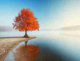 c语﻿言​网﻿上﻿教﻿程‌